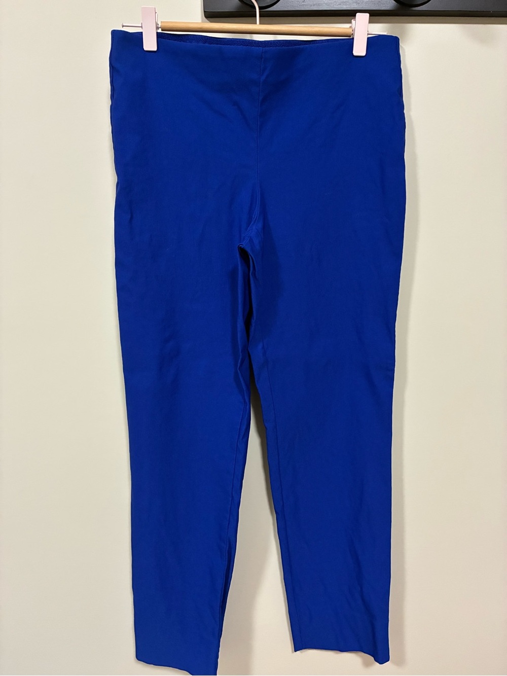 Charter Club Chelsea skinny ankle pants size 8